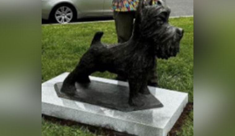 Metropolitan Police Seek Public's Help in Solving Unusual 500-Pound Bronze Dog Statue Theft in Southeast DC