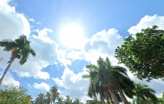 Miami Braces for Unseasonably Warm February, Relief Expected with Incoming Front