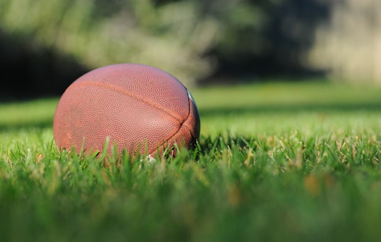 Michigan Officials Urge Responsible Betting Ahead of Super Bowl LIX in New Orleans