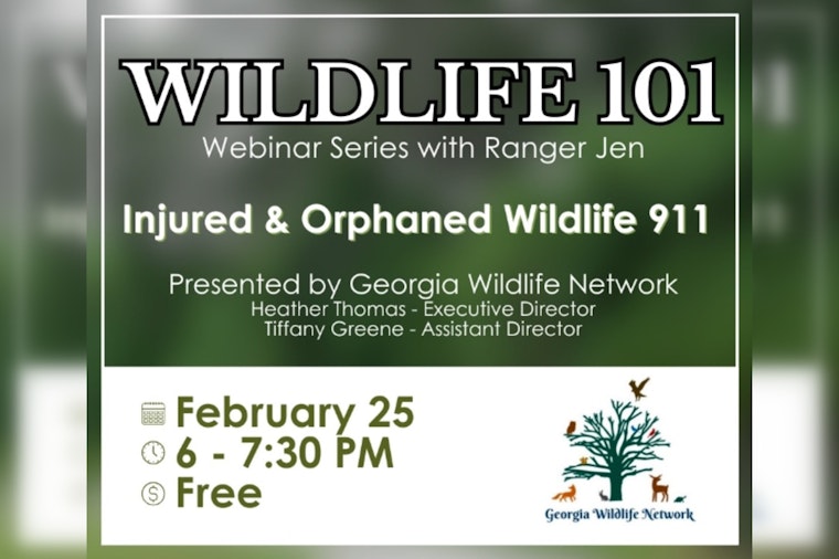 Milton Launches Wildlife 101 Webinar Series to Learn About Local Fauna from Home with Ranger Jen