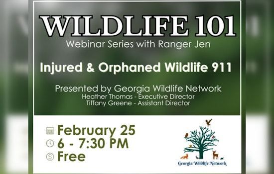 Milton Launches Wildlife 101 Webinar Series to Learn About Local Fauna from Home with Ranger Jen