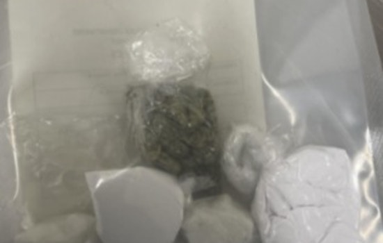 Minneapolis Traffic Stop Leads to Discovery of Guns and Drugs, Convicted Felon Charged
