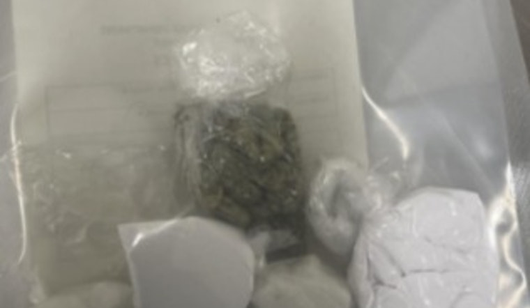 Minneapolis Traffic Stop Leads to Discovery of Guns and Drugs, Convicted Felon Charged
