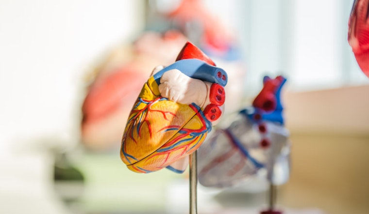 MIT and Harvard Scientists Unleash AI Powerhouse to Predict Heart Failure