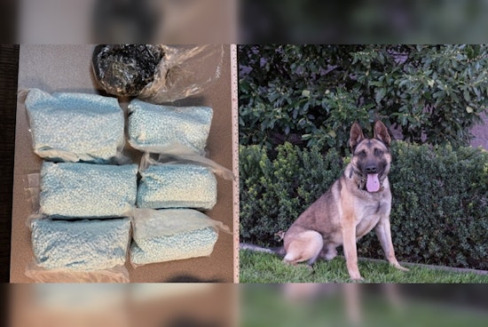 Modesto Police K-9 Unit Thwarts Major Drug Trafficking Attempt with Suspect Arrested and 16 Pounds of Narcotics Seized
