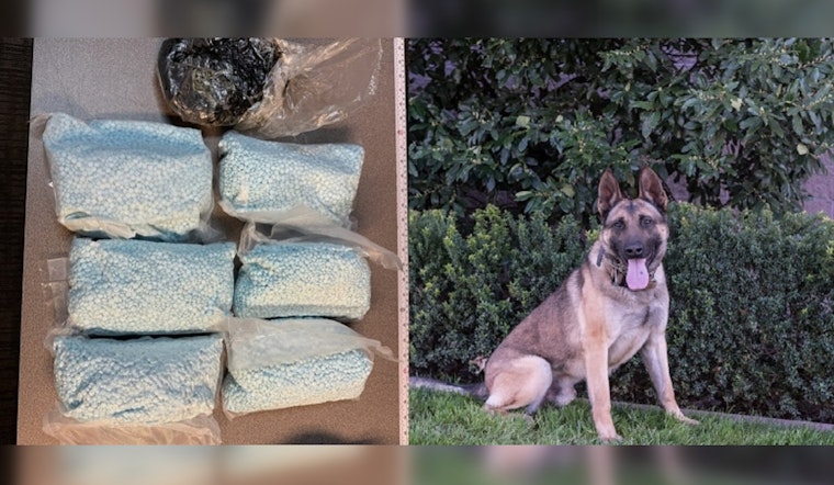Modesto Police K-9 Unit Thwarts Major Drug Trafficking Attempt with Suspect Arrested and 16 Pounds of Narcotics Seized