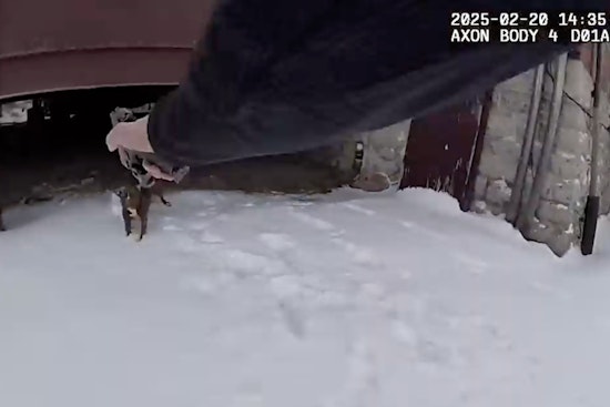 Monroe Police Officer Cleared in Shooting of Aggressive Dog, Owner Arrested on Warrants