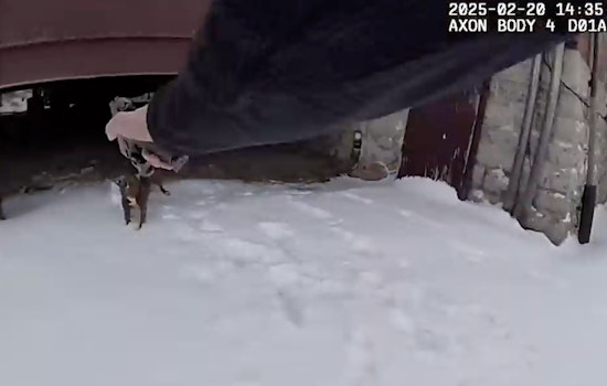 Monroe Police Officer Cleared in Shooting of Aggressive Dog, Owner Arrested on Warrants