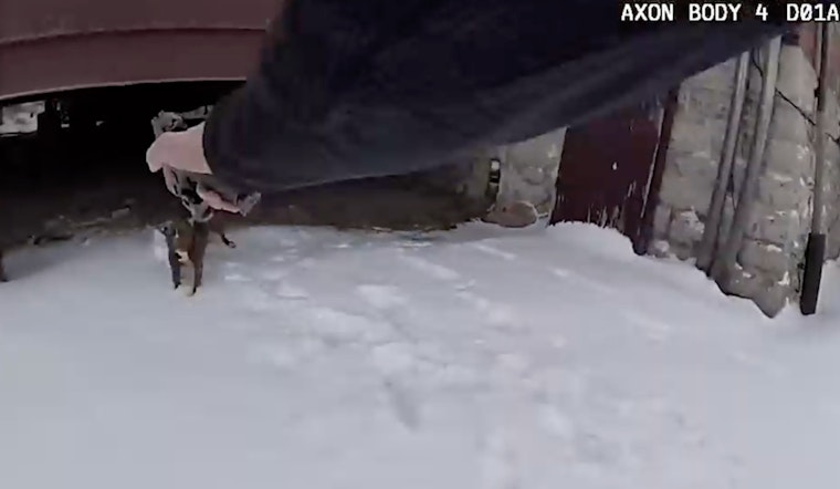 Monroe Police Officer Cleared in Shooting of Aggressive Dog, Owner Arrested on Warrants