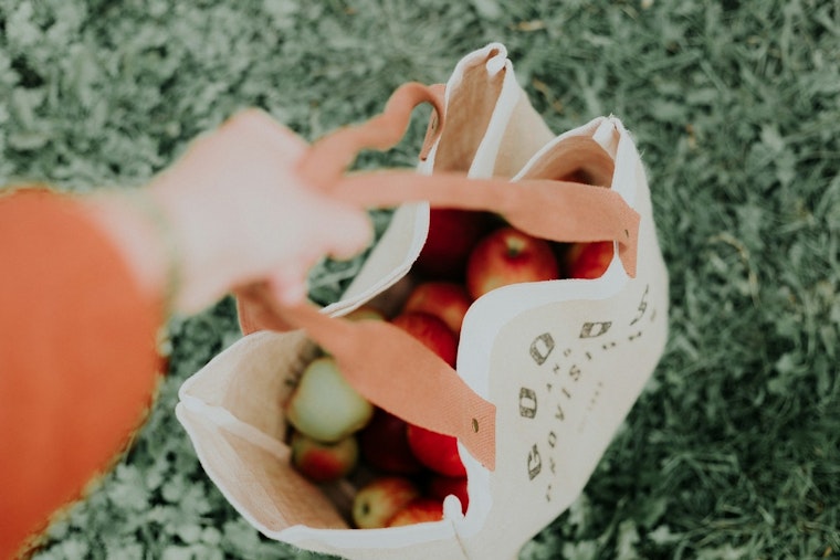 Montgomery County Council Passes BYOB Bill to Ban Single-Use Plastic Bags and Promote Sustainability