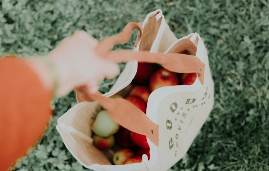 Montgomery County Council Passes BYOB Bill to Ban Single-Use Plastic Bags and Promote Sustainability