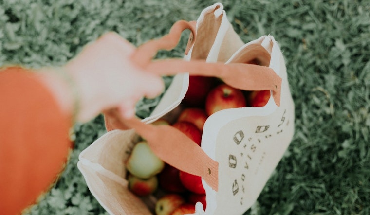 Montgomery County Council Passes BYOB Bill to Ban Single-Use Plastic Bags and Promote Sustainability