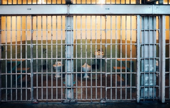 Montgomery County Man Sentenced to 20 Years for Child Exploitation and Pornography