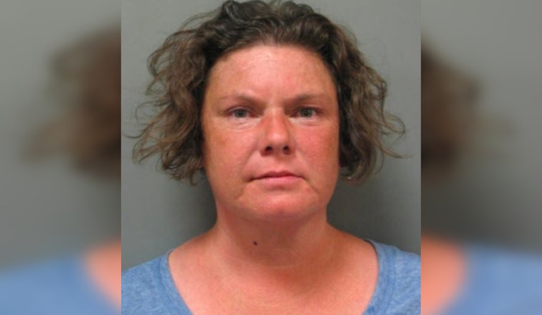 Montgomery County Police Seek Public's Help in Search for Missing Woman Melissa Schrager