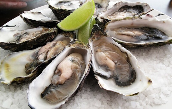 Multi State Oyster Recall Over Norovirus Concerns Affects Numerous States and Nearly 200 Illnesses Reported
