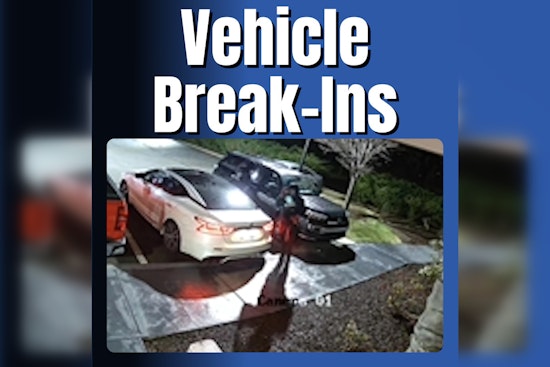 Murfreesboro Hotels and Apartment Complex Hit by Spate of Vehicle Break-ins, Police Seek Suspects