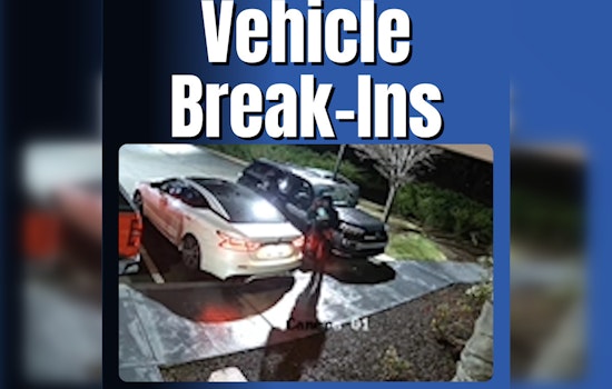 Murfreesboro Hotels and Apartment Complex Hit by Spate of Vehicle Break-ins, Police Seek Suspects
