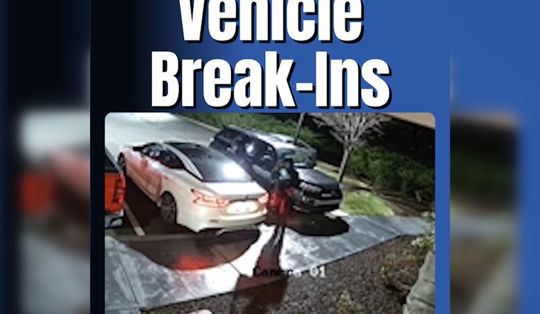 Murfreesboro Hotels and Apartment Complex Hit by Spate of Vehicle Break-ins, Police Seek Suspects