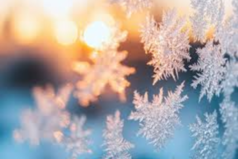 Nashville Hit by Subzero Wind Chills, National Weather Service Issues Advisory; TVA Calls for Energy Conservation