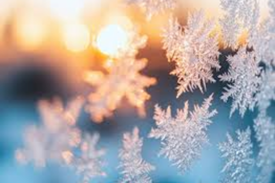 Nashville Hit by Subzero Wind Chills, National Weather Service Issues Advisory; TVA Calls for Energy Conservation