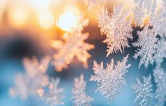 Nashville Hit by Subzero Wind Chills, National Weather Service Issues Advisory; TVA Calls for Energy Conservation