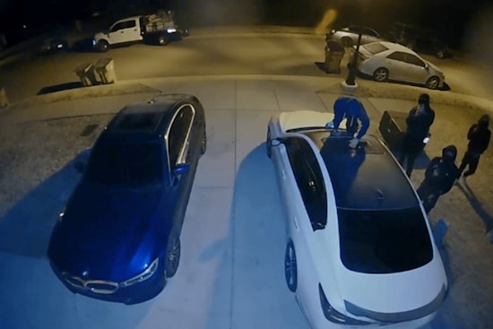 Nashville Police Issue Safety Warning After Video Shows Armed Car Burglary; Urge Public Vigilance, Not Confrontation