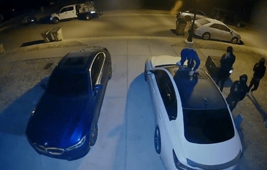 Nashville Police Issue Safety Warning After Video Shows Armed Car Burglary; Urge Public Vigilance, Not Confrontation