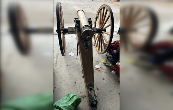 Nevada Parolee Arrested for Possessing Cannon and Arsenal of Weapons in Reno Home