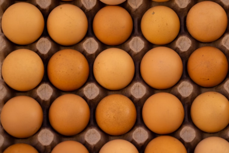 Nevada Suspends Cage-Free Egg Law to Address Supply Crisis and Soaring Prices