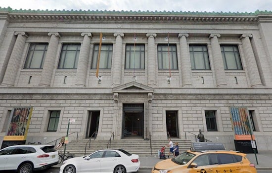 New York Historical Honors Flaco, NYC's Beloved Escapee Owl, with "The Year of Flaco" Exhibit