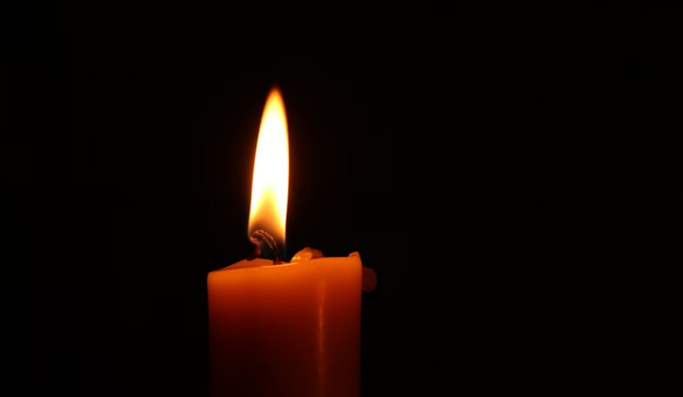 'Buffy' Star Michelle Trachtenberg Dead at 39, NYPD Reports No Foul Play Suspected