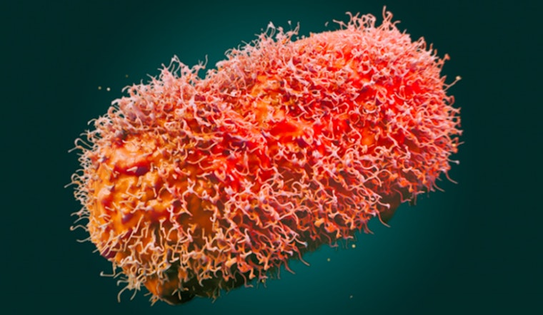 New York State Health Department Issues Alert for New Mpox Clade Ib Strain, Urges Vigilance and Vaccination