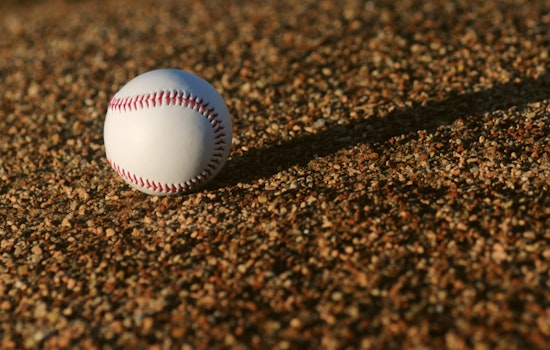 New York Yankees End Decades-Long Beard Ban, Embracing Modern Grooming Trends
