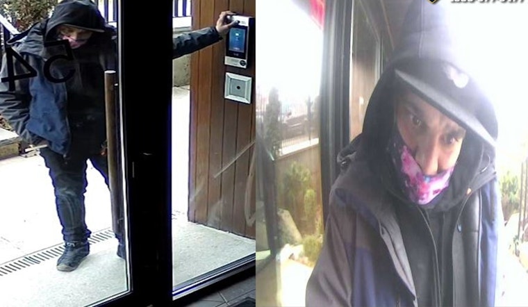 NYPD Crimestoppers Seeks Public's Help in Brooklyn Burglary, Offers $3,500 Reward for Information Leading to Arrest