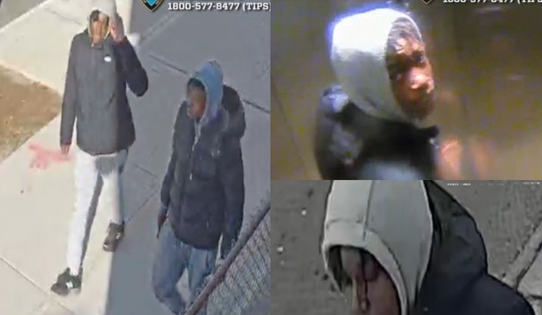 NYPD Seeks Public's Help to Find Suspects in Brooklyn Teen Shooting, $3,500 Reward Offered