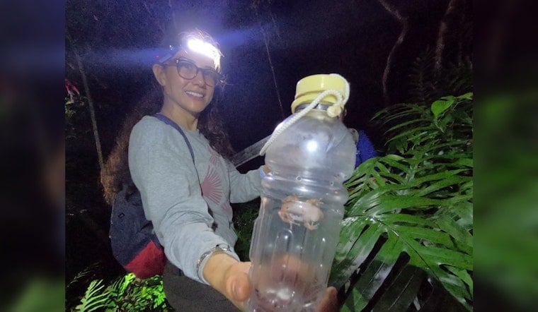 O‘ahu Unites Against Invasive Coqui Frogs, Volunteers and Agencies Rally in Waimānalo to Protect Ecosystem