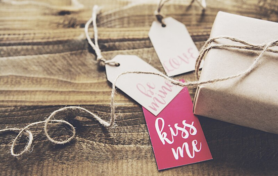 Ohio Department of Commerce Ensures Safe Valentine's Day Gifts with Stuffed Toy Inspections