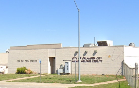 Oklahoma City Animal Welfare Waives Adoption Fees to Tackle Canine Overpopulation