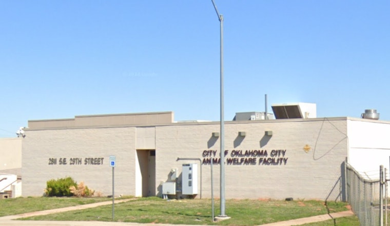 Oklahoma City Animal Welfare Waives Adoption Fees to Tackle Canine Overpopulation