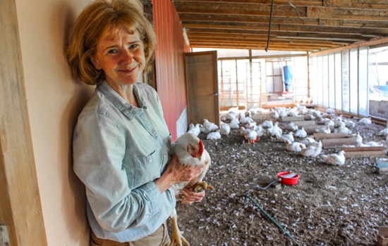 Oregon Department of Agriculture Releases Essential Biosecurity Guide for Livestock Handlers