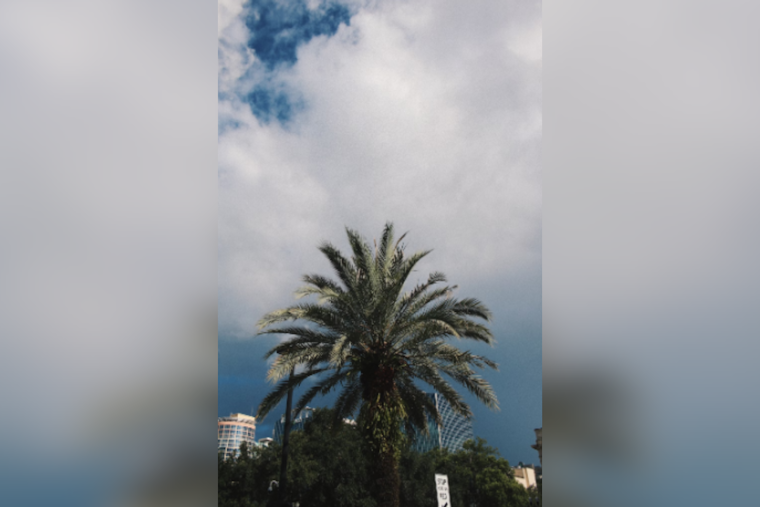 Orlando and Surrounding Counties Face High Winds and Near Record Heat, Advisory Issued