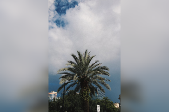 Orlando and Surrounding Counties Face High Winds and Near Record Heat, Advisory Issued
