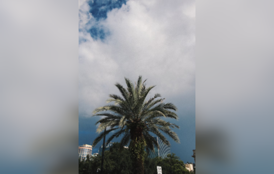 Orlando and Surrounding Counties Face High Winds and Near Record Heat, Advisory Issued