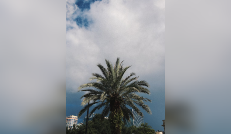 Orlando and Surrounding Counties Face High Winds and Near Record Heat, Advisory Issued