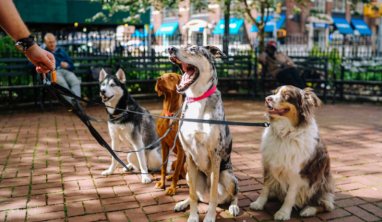 Orlando's Lake Eola Park Hosts 31st Annual "Paws in the Park" Celebrating Pets and Animal Welfare