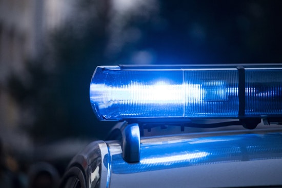 Pāpa‘ikou Pedestrian Critically Injured in Collision, Hawaii Island Police Investigating