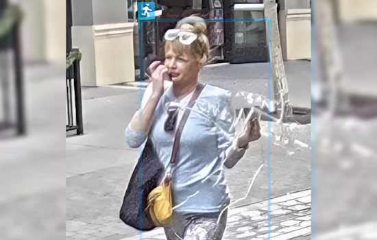 Petaluma Police Appeal for Public Assistance in Theater District Neon Sign Theft Case