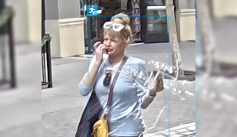 Petaluma Police Appeal for Public Assistance in Theater District Neon Sign Theft Case