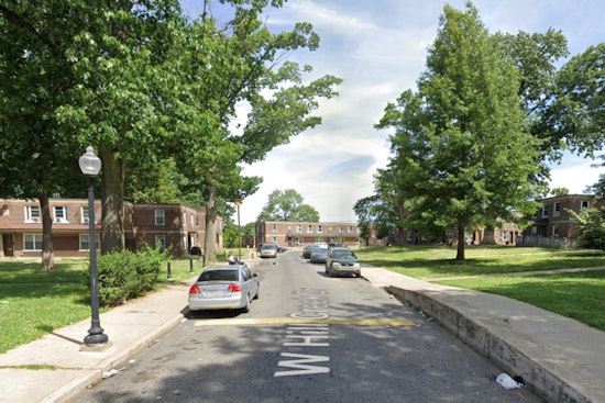 Philadelphia Community Mourns Loss of Beloved Woman Killed by Fallen Tree in Crescentville