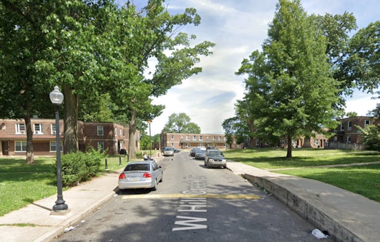 Philadelphia Community Mourns Loss of Beloved Woman Killed by Fallen Tree in Crescentville